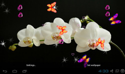3D Orchid flower Live Wallpaper screenshot 3/5