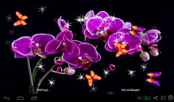 3D Orchid flower Live Wallpaper screenshot 5/5