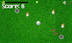 Gophers Love Golf screenshot 4/4