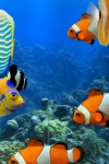 MyReef 3D Aquarium HD screenshot 1/1