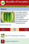 Benefits of Cucumber  screenshot 4/4