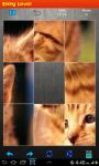 Cats Puzzles screenshot 4/6