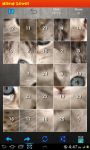 Cats Puzzles screenshot 6/6