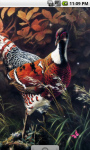 Peacock Painting Live Wallpaper screenshot 1/4
