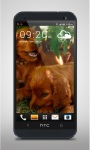 Cocker Spaniel Puppies LiveWP screenshot 4/4