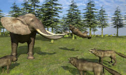 Forest Wild Life Simulator 3D screenshot 1/4