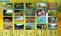 Puzzles for adults nature screenshot 2/6