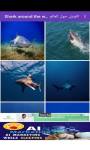 Shark around the world 4K القرش screenshot 3/6