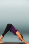 yogaspot screenshot 1/1