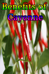 Benefits of Cayenne screenshot 1/3
