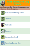 Most Expensive Dog Breeds screenshot 2/3