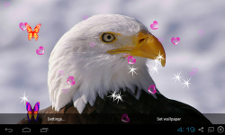3D Eagle Live Wallpaper screenshot 1/5