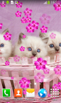 Cute Cats Live Wallpapers screenshot 3/6