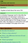 CSS Interview Q  A screenshot 2/3