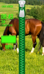 Zipper Lock Screen – Horses screenshot 4/6
