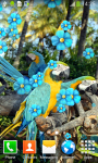 New Parrots Live Wallpapers screenshot 2/6