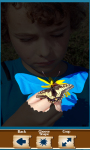 Free Butterfly Photo Crop screenshot 3/6