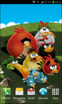 Angry Birds Seasons Wallpapers screenshot 6/6