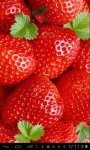 Strawberries Lwp free screenshot 1/3