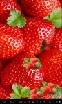 Strawberries Lwp free screenshot 2/3