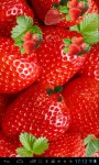 Strawberries Lwp free screenshot 3/3