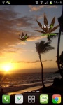 Marijuana Leaf HD Battery screenshot 4/5