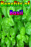 Benefits of Basil screenshot 1/3