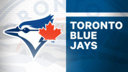 Toronto Blue Jays Fan screenshot 3/4