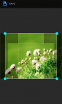 HD Flowers Wallpapers screenshot 4/6
