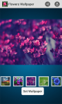 HD Flowers Wallpapers screenshot 5/6
