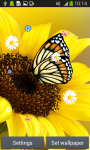 Butterfly Live Wallpapers Free screenshot 4/6
