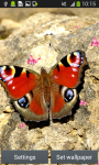 Butterfly Live Wallpapers Free screenshot 5/6
