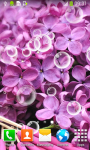 Lilac Live Wallpapers screenshot 6/6