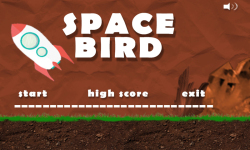 Space Bird screenshot 1/3