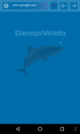 Deep Web  Incognito Browser screenshot 2/2