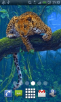 Jaguar in Tree Live Wallpaper Theme Background screenshot 1/3
