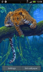 Jaguar in Tree Live Wallpaper Theme Background screenshot 2/3
