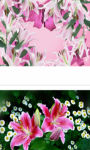 Spring and Pink Easter Lilies wallpaper HD screenshot 3/3
