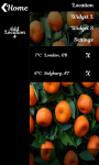 Citrus Fruit Weather Clock screenshot 2/6