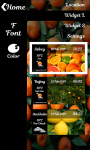 Citrus Fruit Weather Clock screenshot 3/6