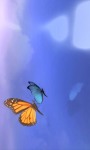 Butterfly Dream screenshot 2/4