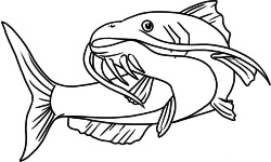 Free Catfish Coloring Book Drawing App for Kids screenshot 3/3