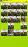 Dinosaurs Memory Game Free screenshot 2/5