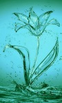 Water Flower Bloom Live Wallpaper screenshot 1/3