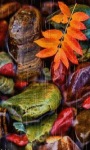 Colorful Leaves Live Wallpaper screenshot 1/3