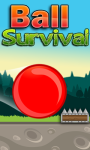 Ball Survival screenshot 1/1