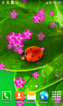 Ladybug Live Wallpapers New screenshot 3/6