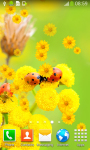 Ladybug Live Wallpapers New screenshot 4/6