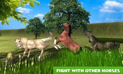  Ultimate Arabian Horse Sim screenshot 4/5