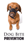 Dog Bite Prevention App screenshot 1/2
